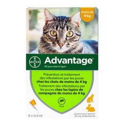 Advantage pipettes pour chats et lapins (4 kg, 6 unités)