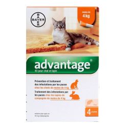 Advantage pipettes pour chats et lapins (x4)