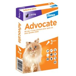 Advocate - Chats de 4 à 8kg x3 pipettes