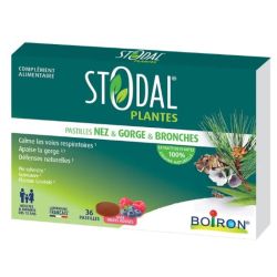 Stodal - 36 Pastilles nez,gorge & bronches fruits rouges