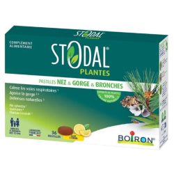Stodal - 36 Pastilles nez,gorge & bronches goût citron