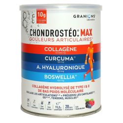 Chondrosteo Max douleurs articulaires fruits des bois 226g