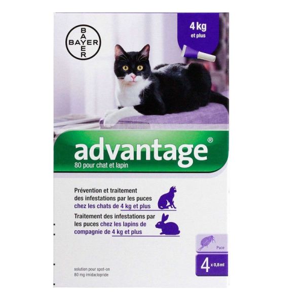 Advantage pipettes anti-puces pour chats et lapins (4 kg)