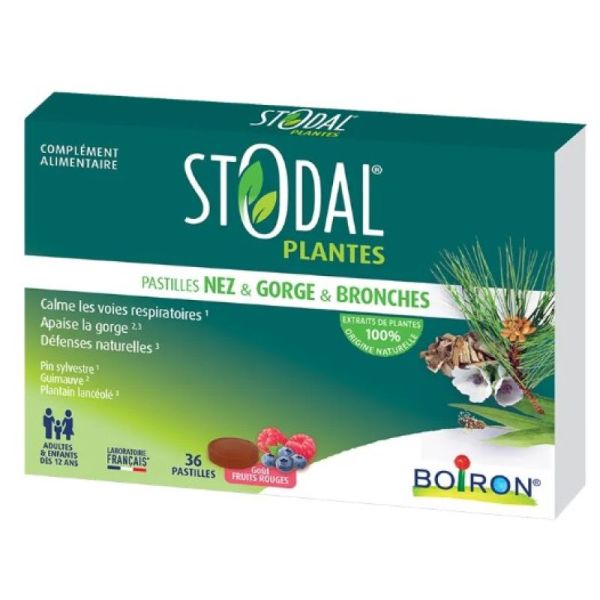 Stodal - 36 Pastilles nez,gorge & bronches fruits rouges